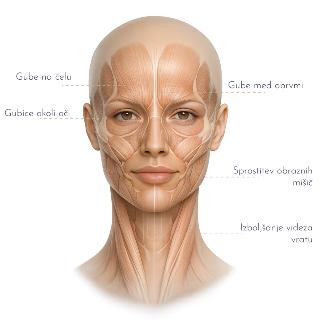Anatomski prikaz področij obraza in vratu za zdravljenje z botoksom